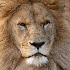 What the Cyber Lions winners can teach us this year